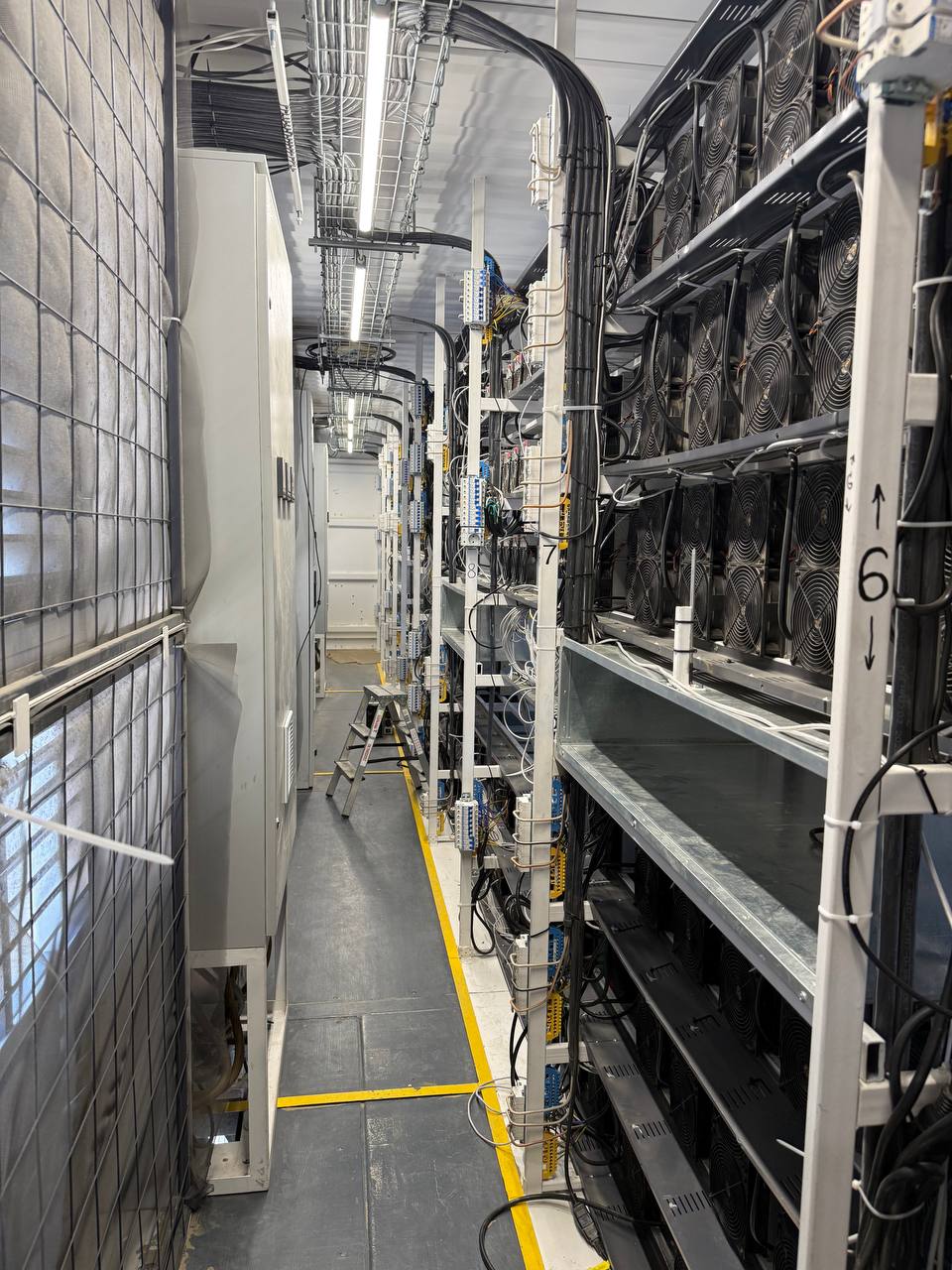 Ряды ASIC-оборудования и кабельная инфраструктура внутри майнингового модуля